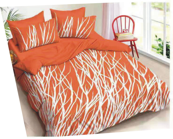 Duvet with Bedsheet and Pillow case
