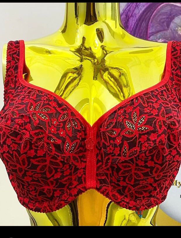 New Design Ladies And Women Bra