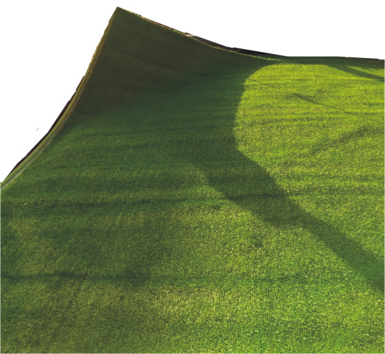 Synthetic Grass-Rug Carpet Per Meter