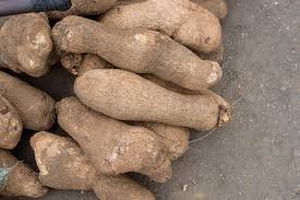 Yam - 10 tubers