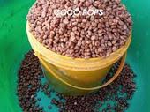 Cocopops - Painter