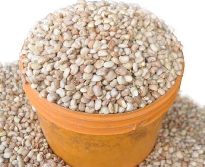 Iron Bean - White