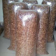 Crayfish Sack