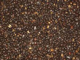 Palm Kernel Painter
