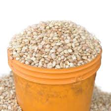 Oloyin Beans - 2kg