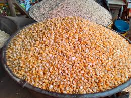 Maize Peeled 1 Painter