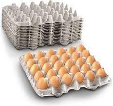 Medium Size Egg Crate