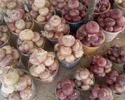 Fresh Onions