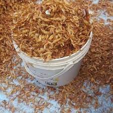 Dried Oron Crayfish one painter