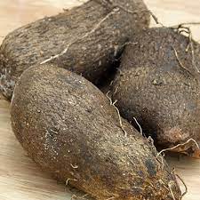 Water Yam