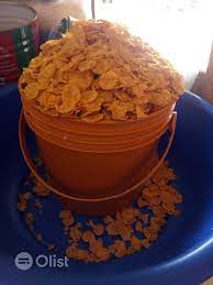 Kellogg's Cornflakes - 1 painter