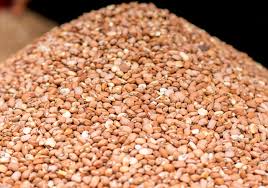 Brown Beans 25kg