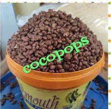 Cocopops a painter