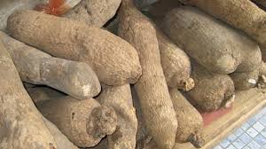 Yam