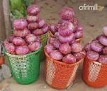 Fresh Large Onions