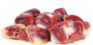 Gizzard