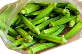 Okra