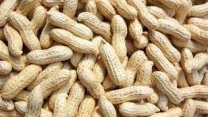 Groundnut Fresh (1 Bag)