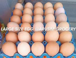 Crate Of Egg (Medium Size)