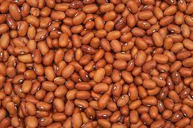 Brown Beans Painter