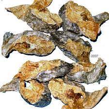 Stock Fish 10pcs