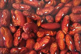 Red Kidney Beans Painter