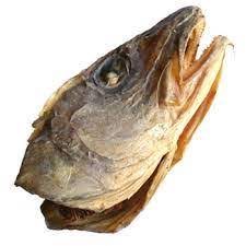 Stock Fish Head With Ear Slot 15pcs