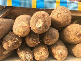 Yam(Medium Size) 10 Tubers