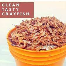 Oron Crayfish Painter