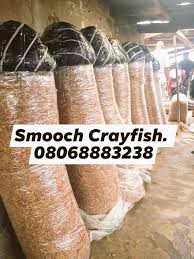 Oron Crayfish a Bag (28 Painters)