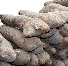 Sweet Yam 10 Tubers